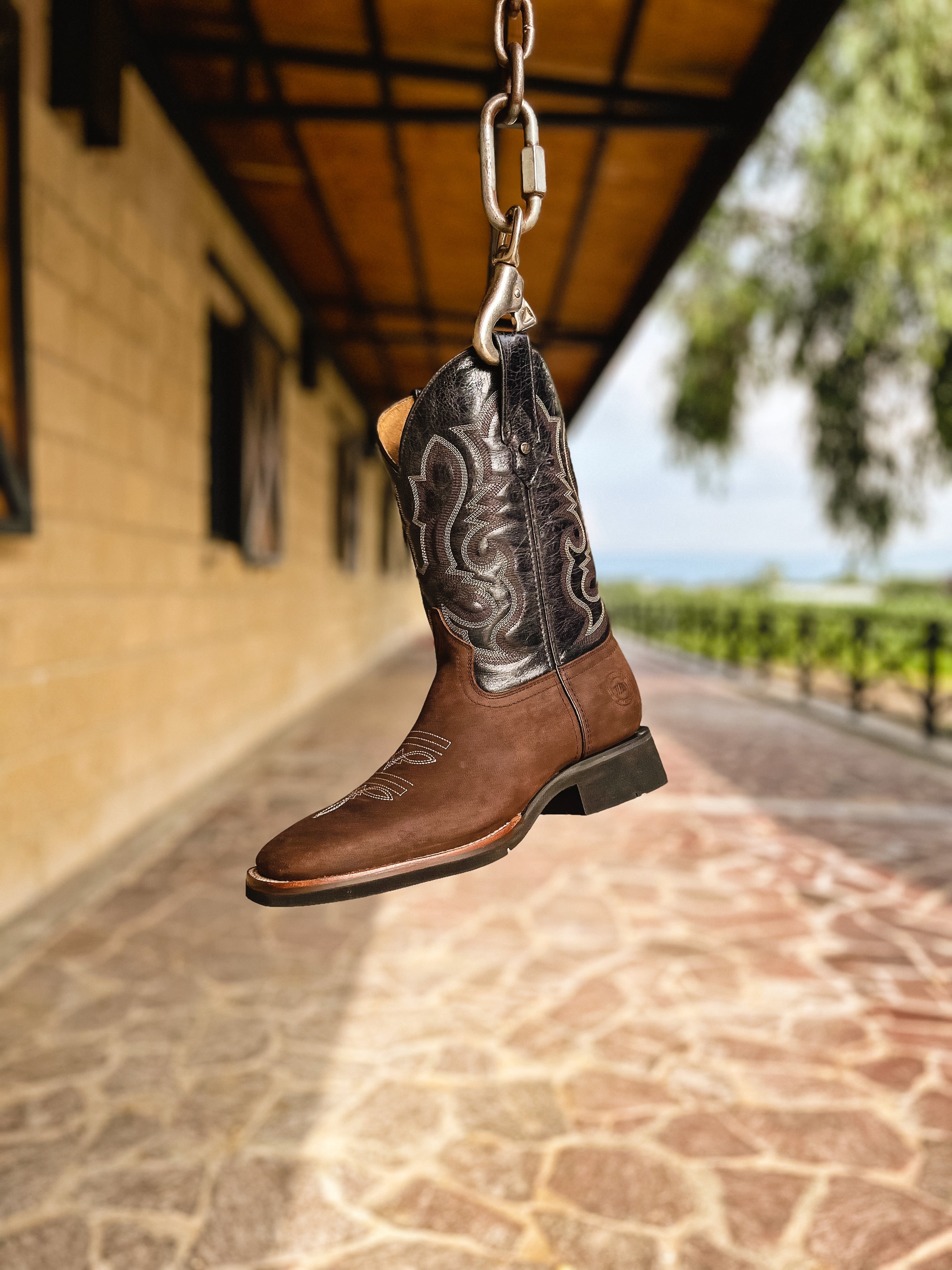 Rodeo