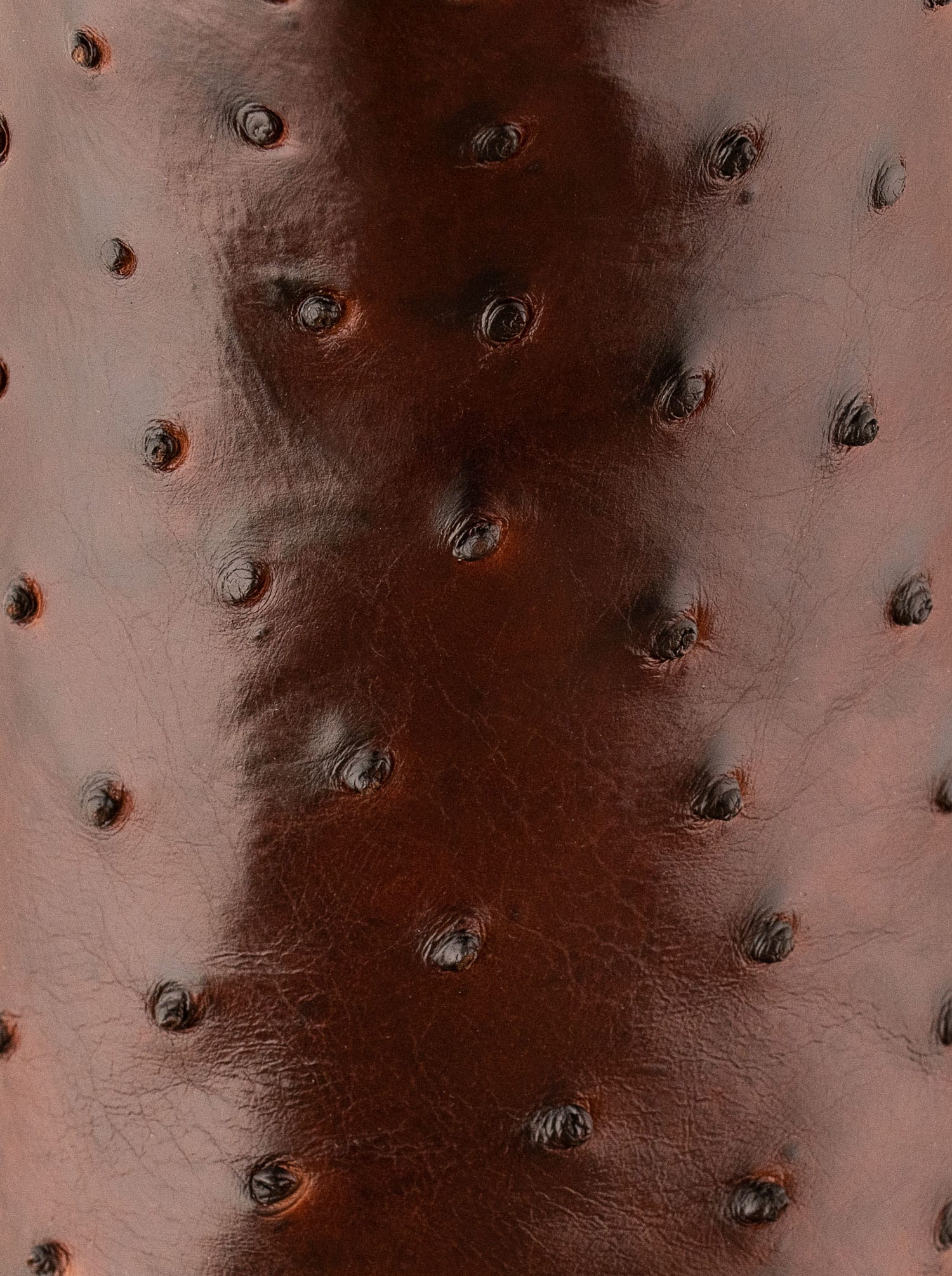 Bota Vaquera con Suela de Cuero en Piel Genuina de Avestruz Bruchatto Estilo 1055