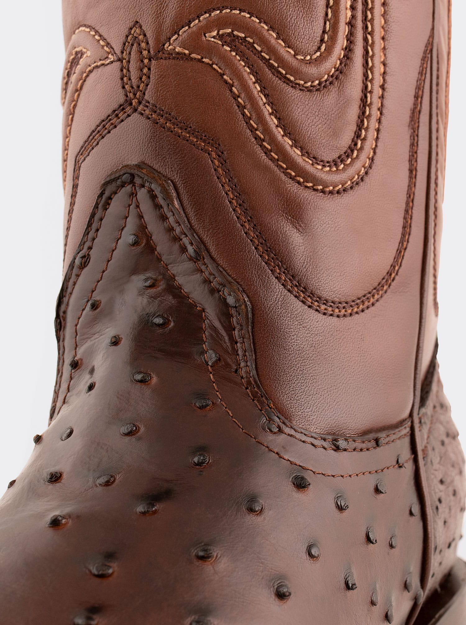 Bota Vaquera con Suela de Cuero en Piel Genuina de Avestruz Bruchatto Estilo 1055