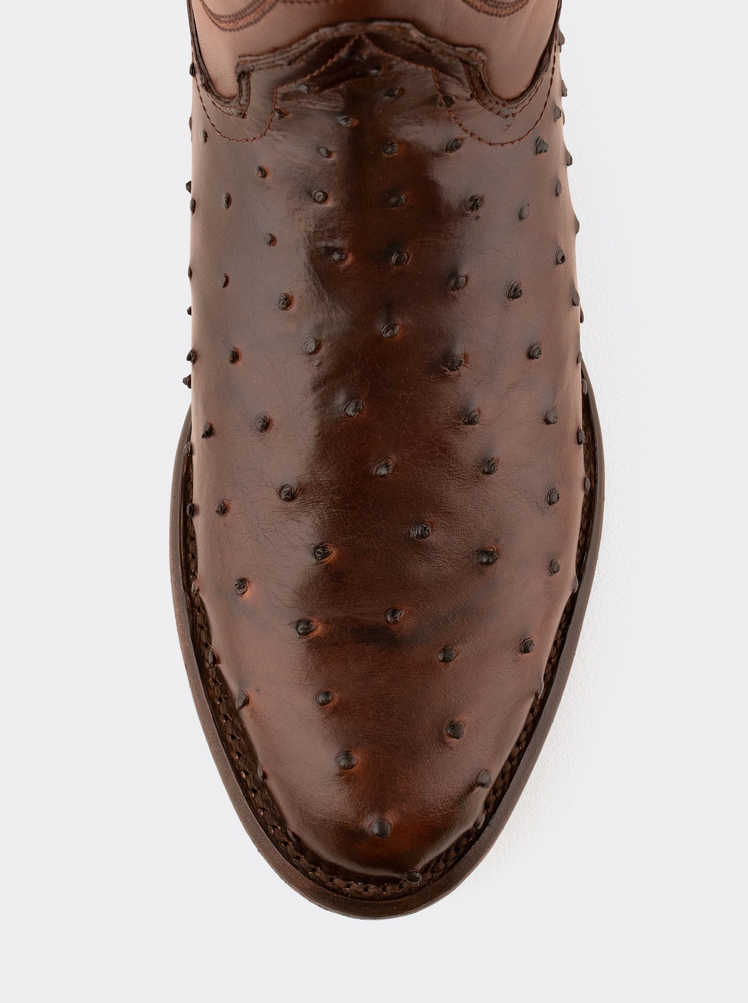 Bota Vaquera con Suela de Cuero en Piel Genuina de Avestruz Bruchatto Estilo 1055