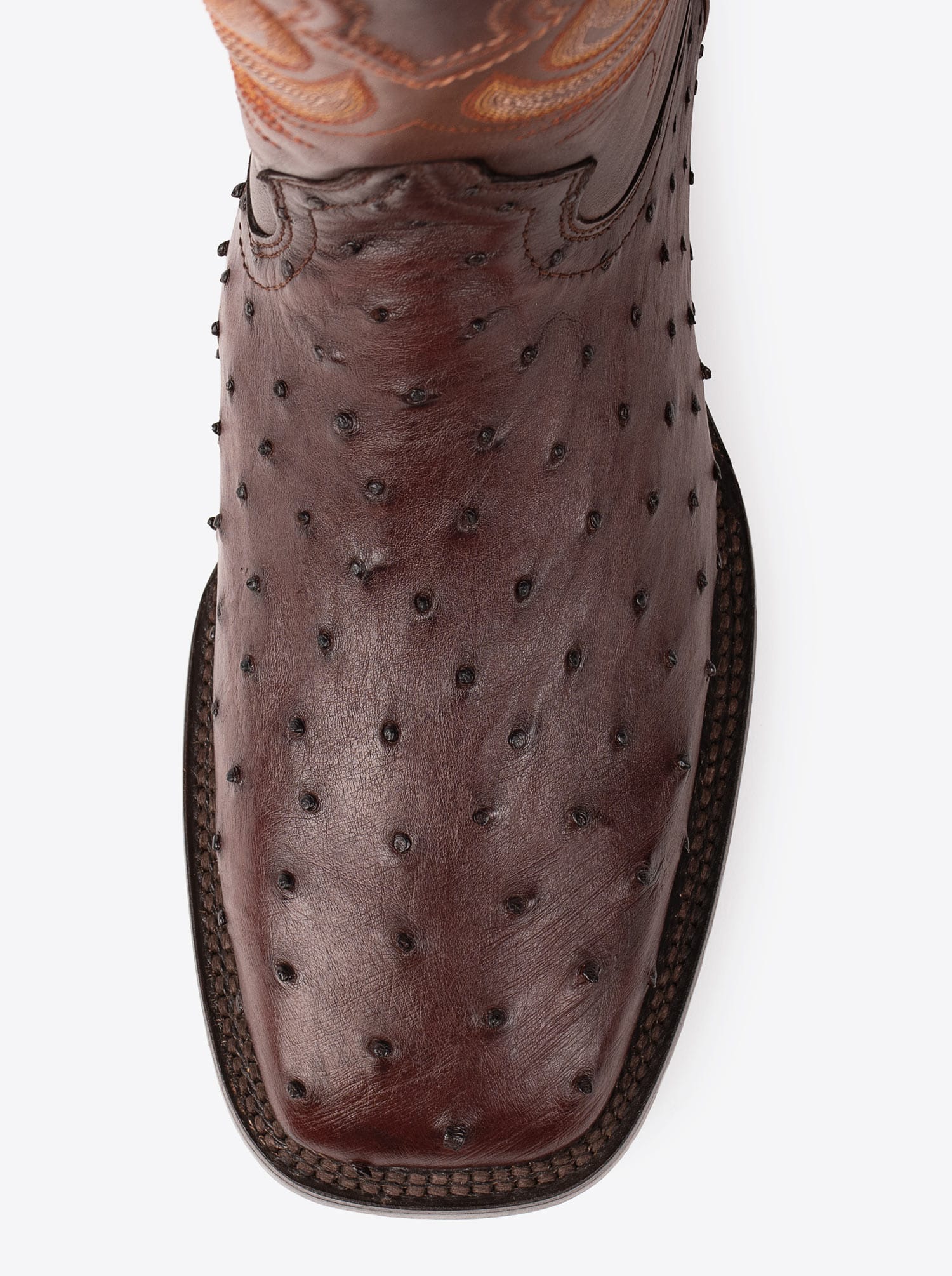 Bota Rodeo con Suela de Cuero en Piel Genuina de Avestruz Bruchatto Estilo 1558