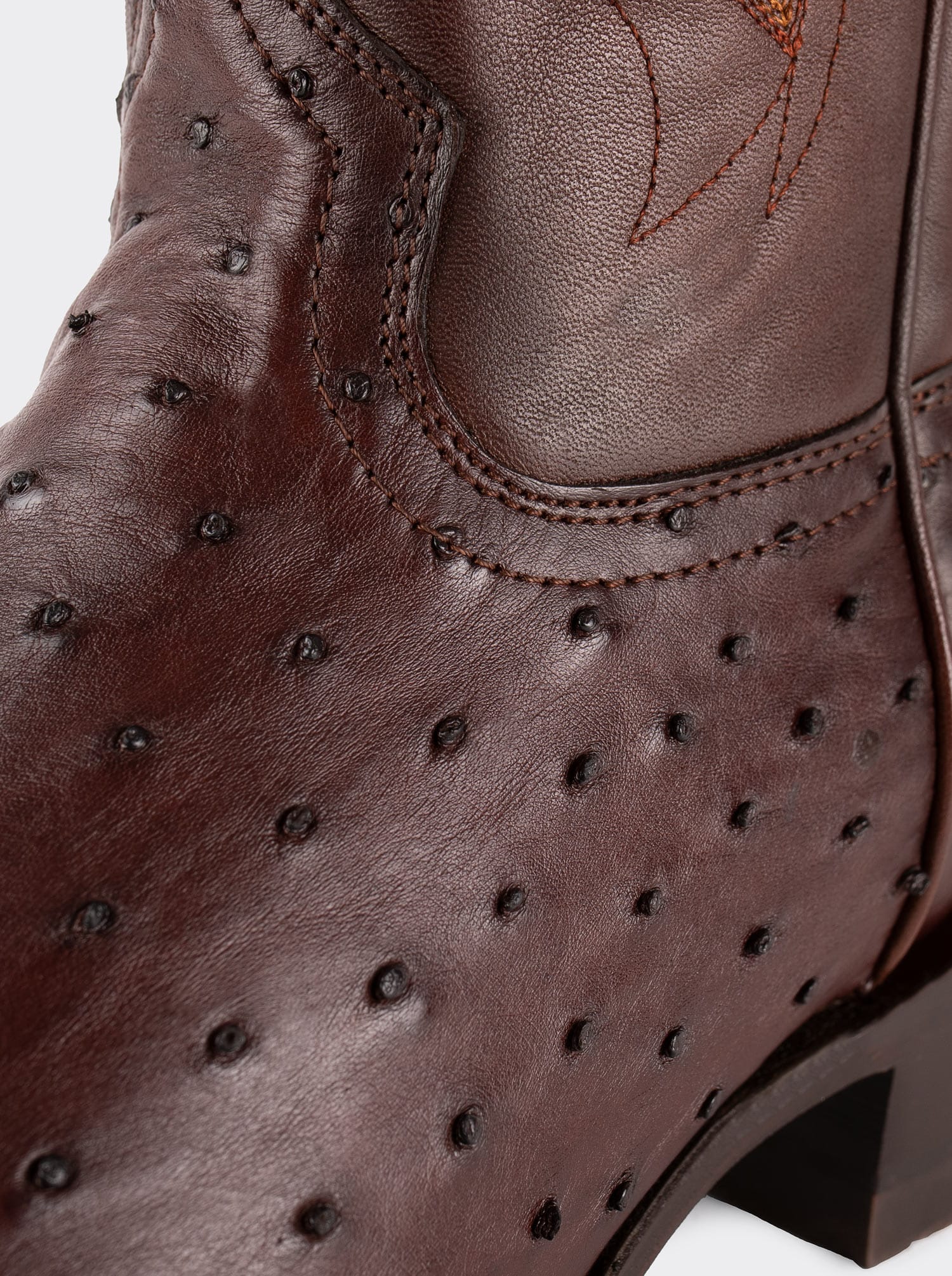 Bota Rodeo con Suela de Cuero en Piel Genuina de Avestruz Bruchatto Estilo 1558