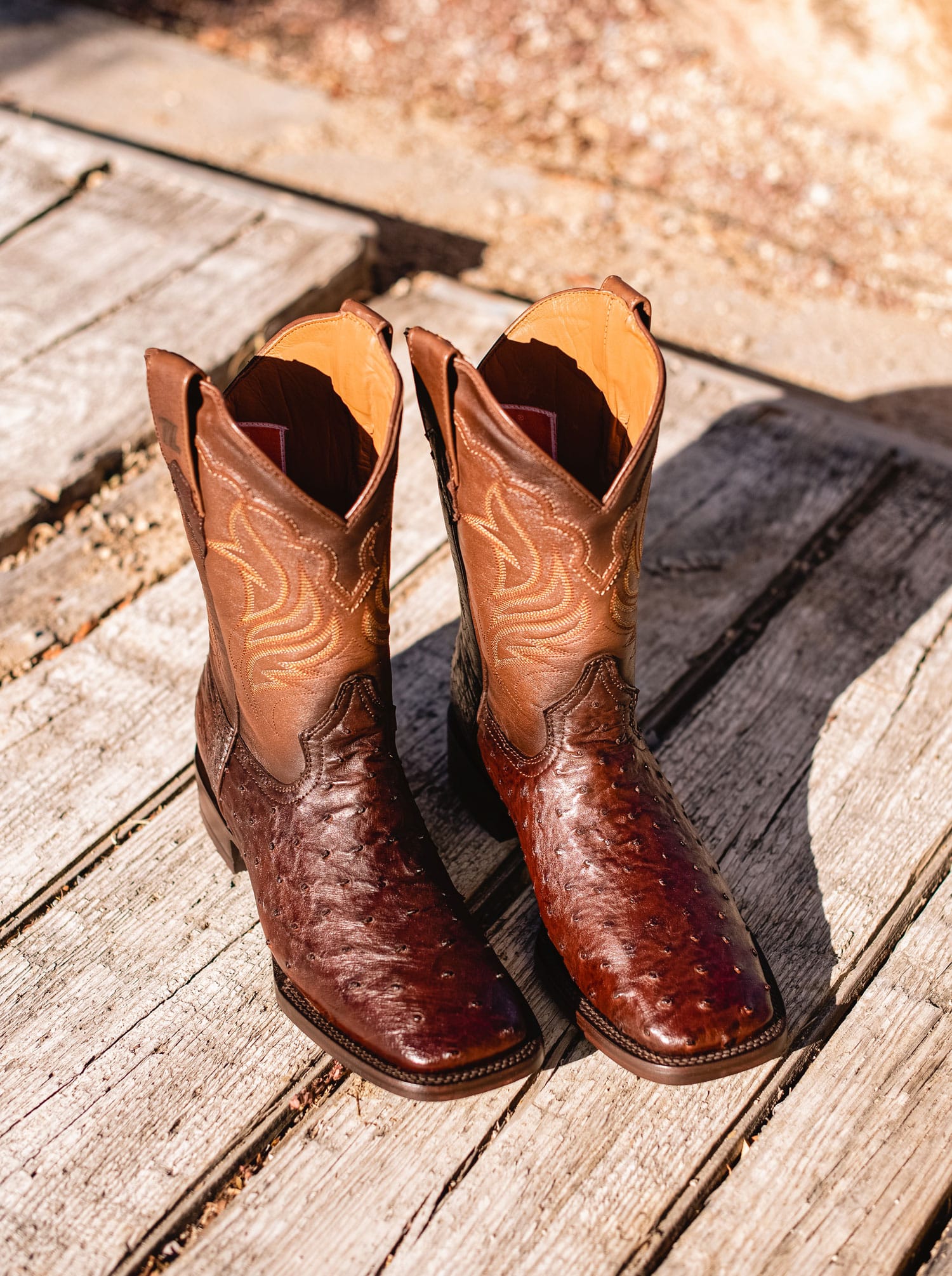 Bota Rodeo con Suela de Cuero en Piel Genuina de Avestruz Bruchatto Estilo 1558