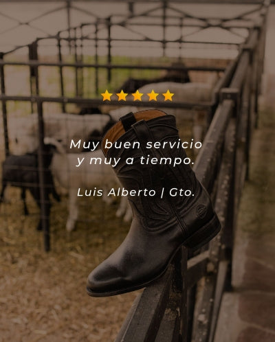 Descripción de la imagen