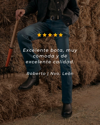 Descripción de la imagen