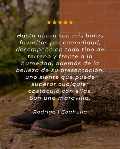 Descripción de la imagen